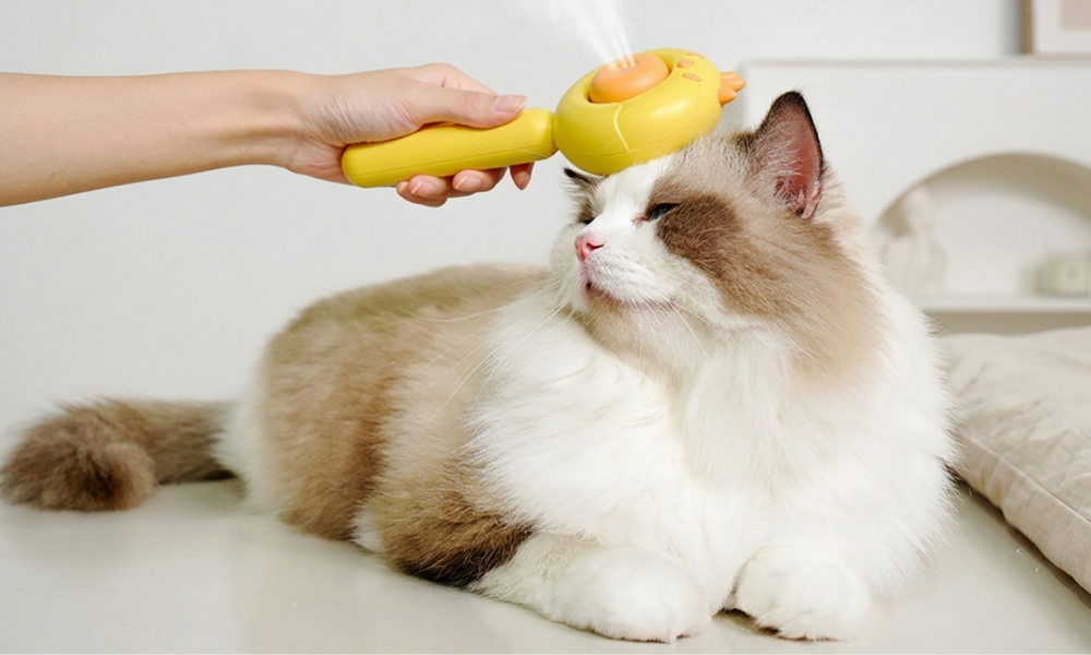 Easy Grooming Routines For Comfortable Pets